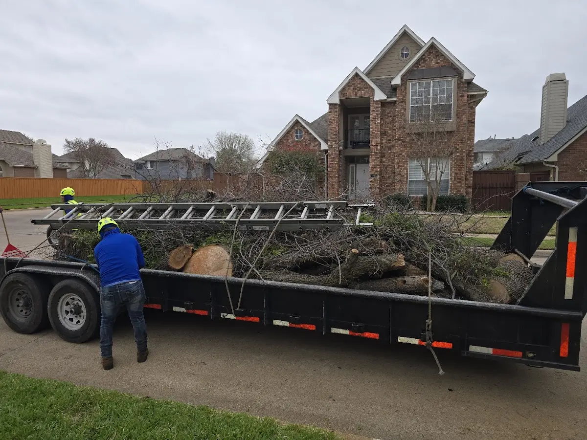 Expert Lot Clearing with proper safety equipment in Boling